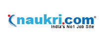Naukri logo