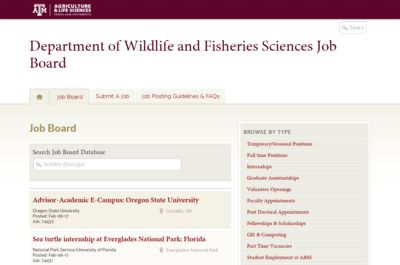 Screenshot of Texas a and m job board